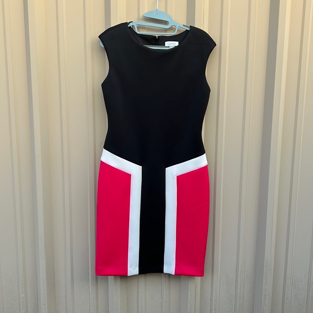 Calvin Klein Color Block Dress (Size 6)